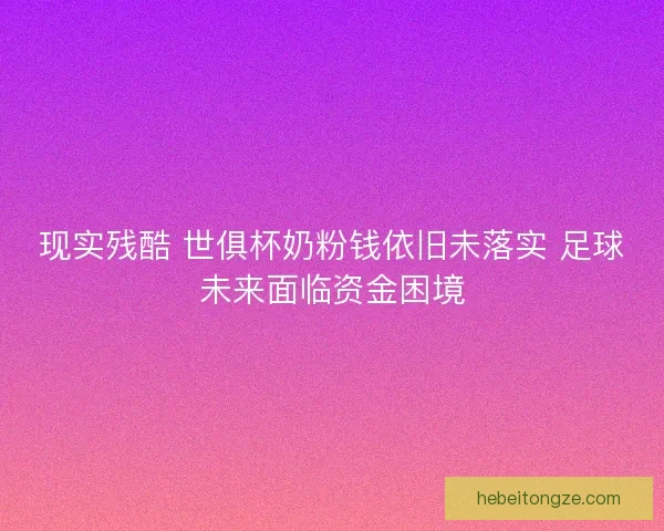 现实残酷 世俱杯奶粉钱依旧未落实 足球未来面临资金困境